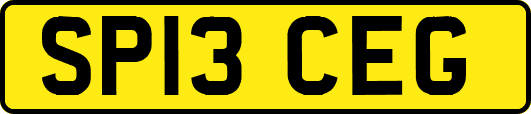 SP13CEG