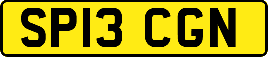 SP13CGN