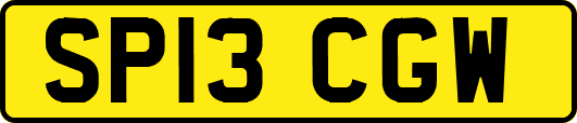 SP13CGW
