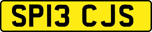 SP13CJS