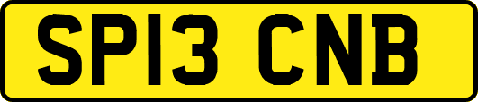 SP13CNB