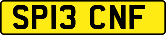SP13CNF