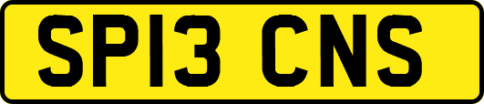 SP13CNS
