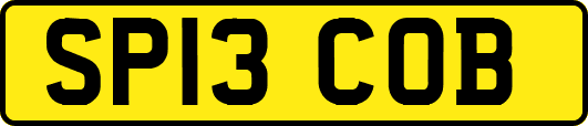 SP13COB