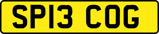 SP13COG