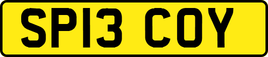 SP13COY