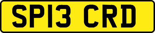 SP13CRD