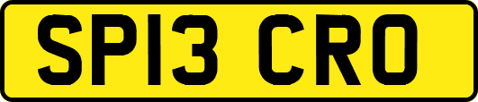 SP13CRO