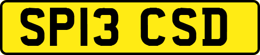 SP13CSD