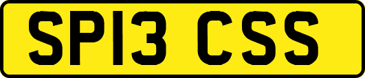 SP13CSS