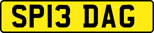 SP13DAG