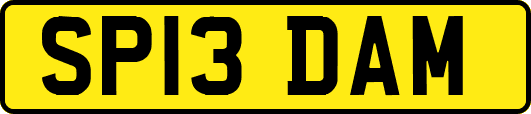 SP13DAM