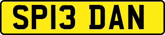 SP13DAN