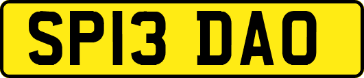 SP13DAO