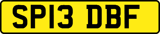 SP13DBF