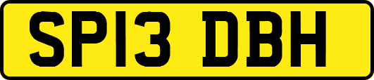 SP13DBH