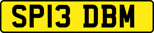 SP13DBM