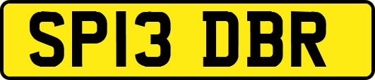 SP13DBR