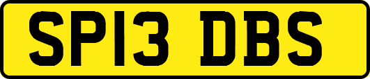 SP13DBS