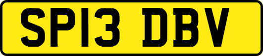 SP13DBV