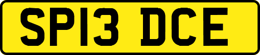 SP13DCE