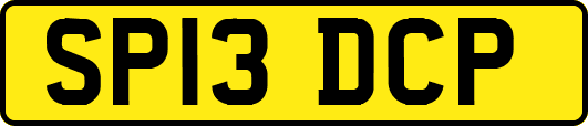 SP13DCP