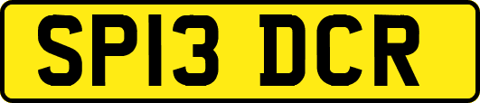 SP13DCR