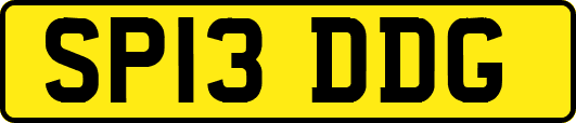SP13DDG