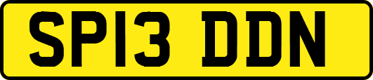 SP13DDN