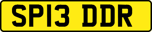 SP13DDR