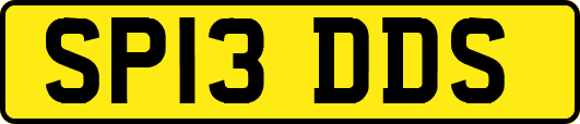 SP13DDS