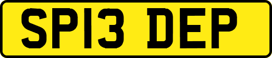 SP13DEP