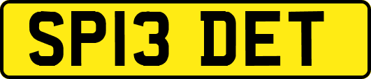 SP13DET
