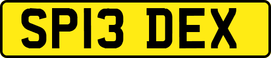 SP13DEX
