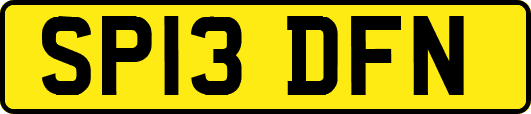 SP13DFN