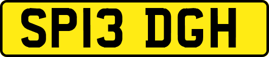 SP13DGH