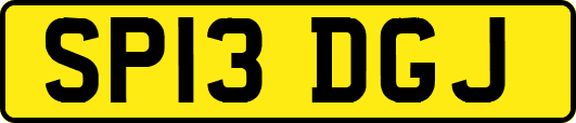 SP13DGJ