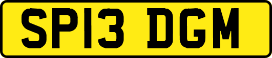 SP13DGM