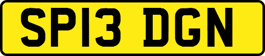 SP13DGN