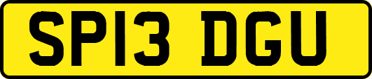 SP13DGU