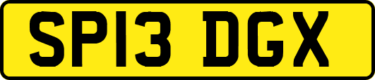 SP13DGX