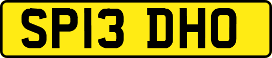 SP13DHO