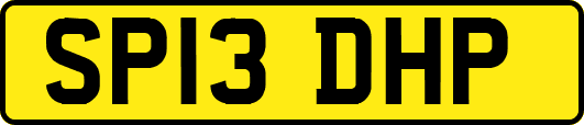 SP13DHP