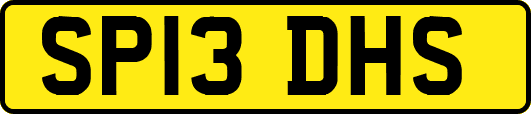 SP13DHS