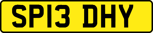 SP13DHY