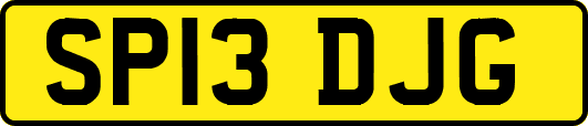 SP13DJG