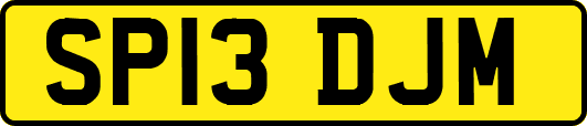 SP13DJM