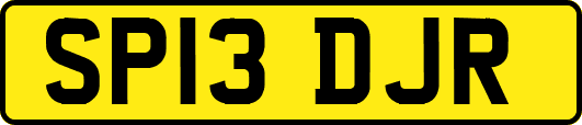 SP13DJR