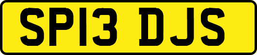SP13DJS