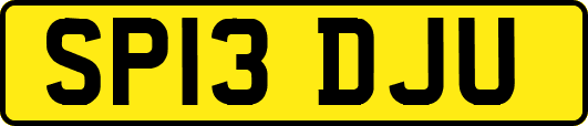SP13DJU